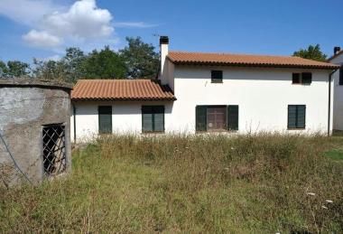 La zona in localit&agrave; Gagno dove &egrave; stata avvistata la pantera 