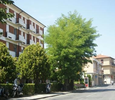 Via di Salviano: è qui che è scattata la rissa con gli agenti