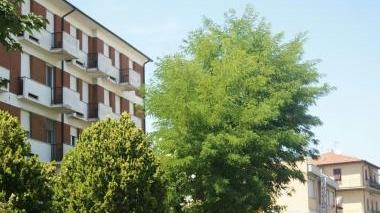 Via di Salviano: è qui che è scattata la rissa con gli agenti