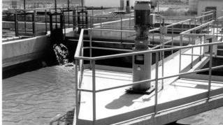 Il depuratore di Marina, alcuni bagnanti sulla spiaggia e il punto in cui il Fosso nuovo sfocia in mare