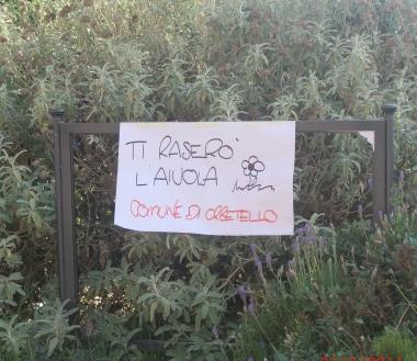 Un cartello ironico sull'aiuola-giungla