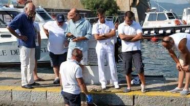 Il grosso animale portato a riva dalla Capitaneria