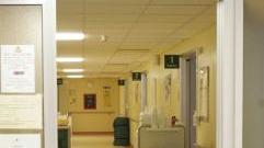 Le zanzare tormentano i pazienti del reparto di Oncologia