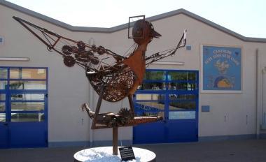 BRASILE IN MOSTRA