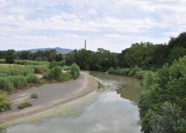 Unimmagine del fiume Cecina  