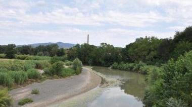 Un’immagine del fiume Cecina