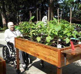 Un esempio di orticoltura per disabili ad Arezzo 