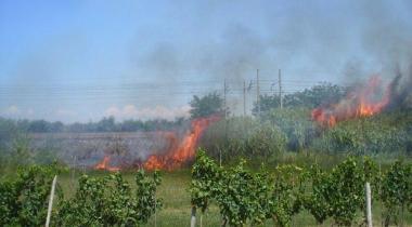 Uno dei violenti incendi scoppiati ieri pomeriggio 