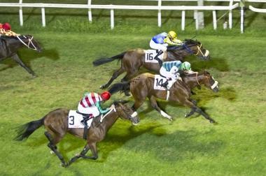 <b>VINCENTE.</b> Larrivo vittorioso di Holy Ballet         