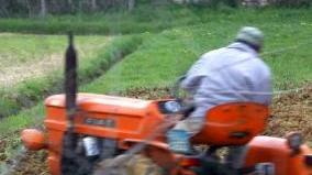 Un agricoltore al lavoro