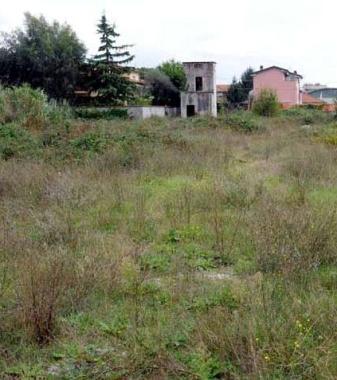 Un terreno incolto (foto darchivio) 