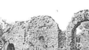 <b>SCAVI.</b> Le Terme di Massaciuccoli