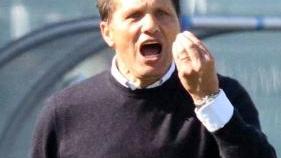 <b>WALTER NOVELLINO </b>