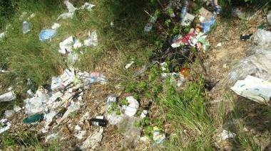 Discarica abusiva nel bosco