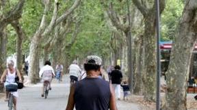 <b>NOTTE BIANCA.</b> Una foto della Pineta di Ponente: domani sera il parco cittadino vivrà fino alle 3 di notte