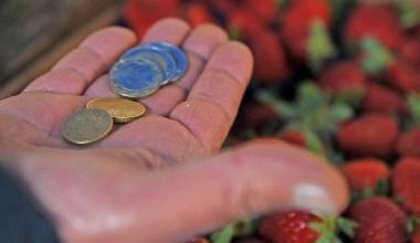 Debiti, 4mila euro in più per le famiglie pisane