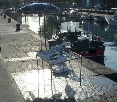 Sorpreso a vendere pesce che ha comprato altrove