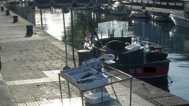 Sorpreso a vendere pesce che ha comprato altrove
