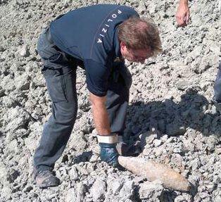 Bomba da mortaio vicino a un podere «L'abbiamo trovata mentre aravamo»