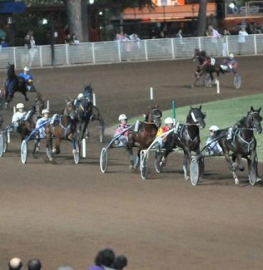 Cavalli allippodromo di Montecatini Terme 