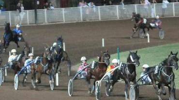 Cavalli all’ippodromo di Montecatini Terme