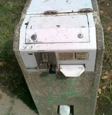 Pulizie in pineta, un distributore di sacchetti e un lampione danneggiato 