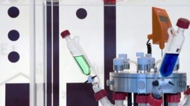 Senza stipendio da tre mesi In rivolta 80 lavoratori