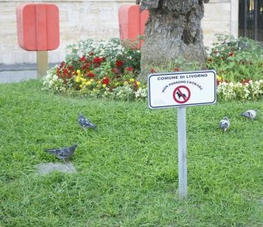 I cartelli sulle aiuole di piazza Civica 
