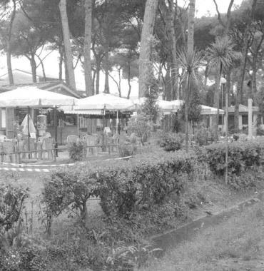 La Pineta di Levante 