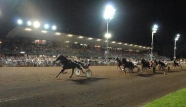 Blitz dei carabinieri all'ippodromo Sesana: trovati 11 lavoratori al nero