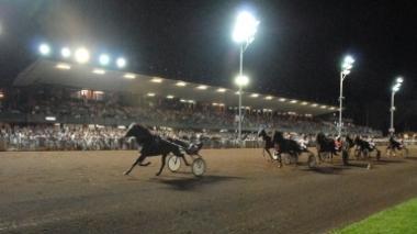 Blitz dei carabinieri all'ippodromo Sesana: trovati 11 lavoratori al nero