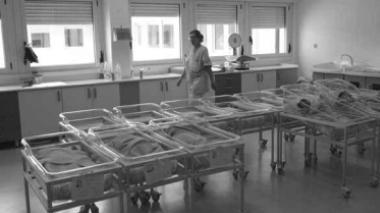 <b>NURSERY.</b> I bambini al nido in una foto d’archivio