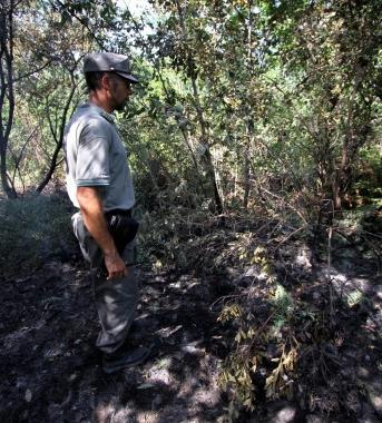 Intervenuta anche la Forestale 