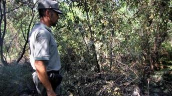 Intervenuta anche la Forestale