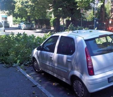 <b>DANNI.</b> Il tettino dellauto danneggiato dal grosso ramo 