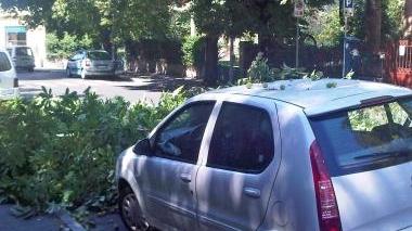 <b>DANNI.</b> Il tettino dell’auto danneggiato dal grosso ramo