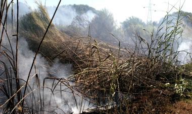 Le sterpaglie avvolte dalle fiamme al Casalino 
