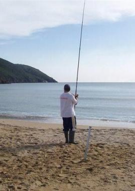 Moscardini e Doni ok nel surfcasting