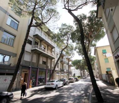 Via Masini con le piante che costeggiano i marciapiedi