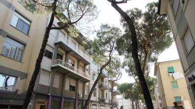 Via Masini con le piante che costeggiano i marciapiedi