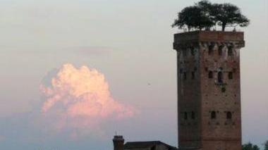La Torre Guinigi al tramonto vista da via Fillungo