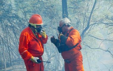 Spengono l'incendio: «Grazie ai volontari»