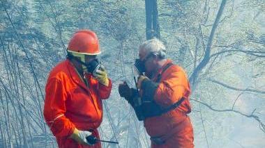 Spengono l'incendio: «Grazie ai volontari»