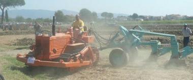 Un momento della rievocazione storica dellaratura e della battitura del grano     