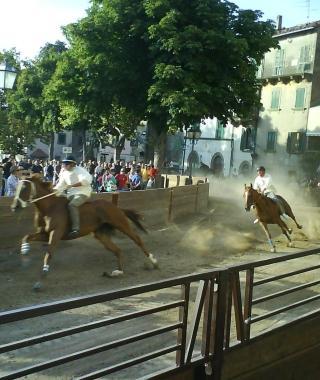 <b>IL PALIO.</b> Di Castel del Piano 