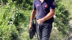 <strong>IL CANE DINGO.</strong> Arrivato nel pomeriggio ha fiutato un indumento della ragazzina scomparsa