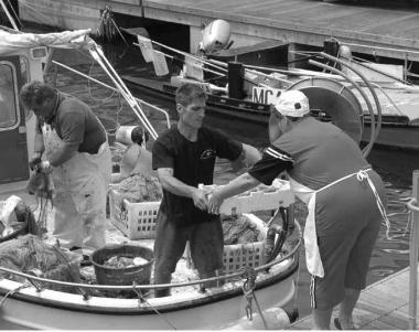 Il molo dei Pescatori in porto    
