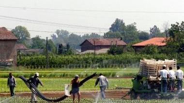 Un’azienda agricola