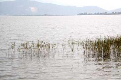Ricerche anche nel Lago di Massaciuccoli