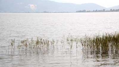 Ricerche anche nel Lago di Massaciuccoli